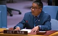 Vietnam calls for global cooperation on natural resource governance for peace, security